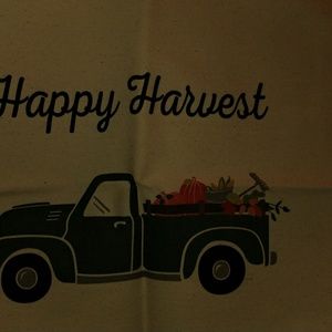 Thirty one pillow case